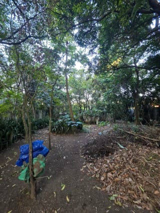 🏞️ Terreno en venta – Los Álamos, San Miguel Petapa — miniatura 5 de 7