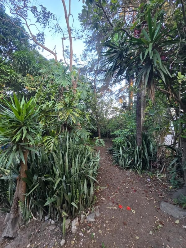 🏞️ Terreno en venta – Los Álamos, San Miguel Petapa — foto 3 de 7